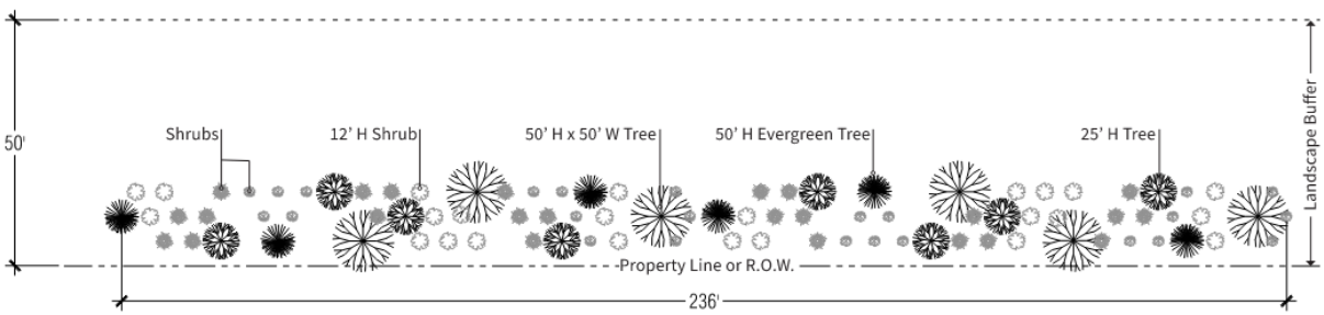 Overhead plant view of the landscape buffer showing shrubs, deciduous trees, and evergreens with depths and spacing along the property line